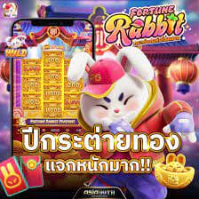 rabbit fortune cookie tradução ícone